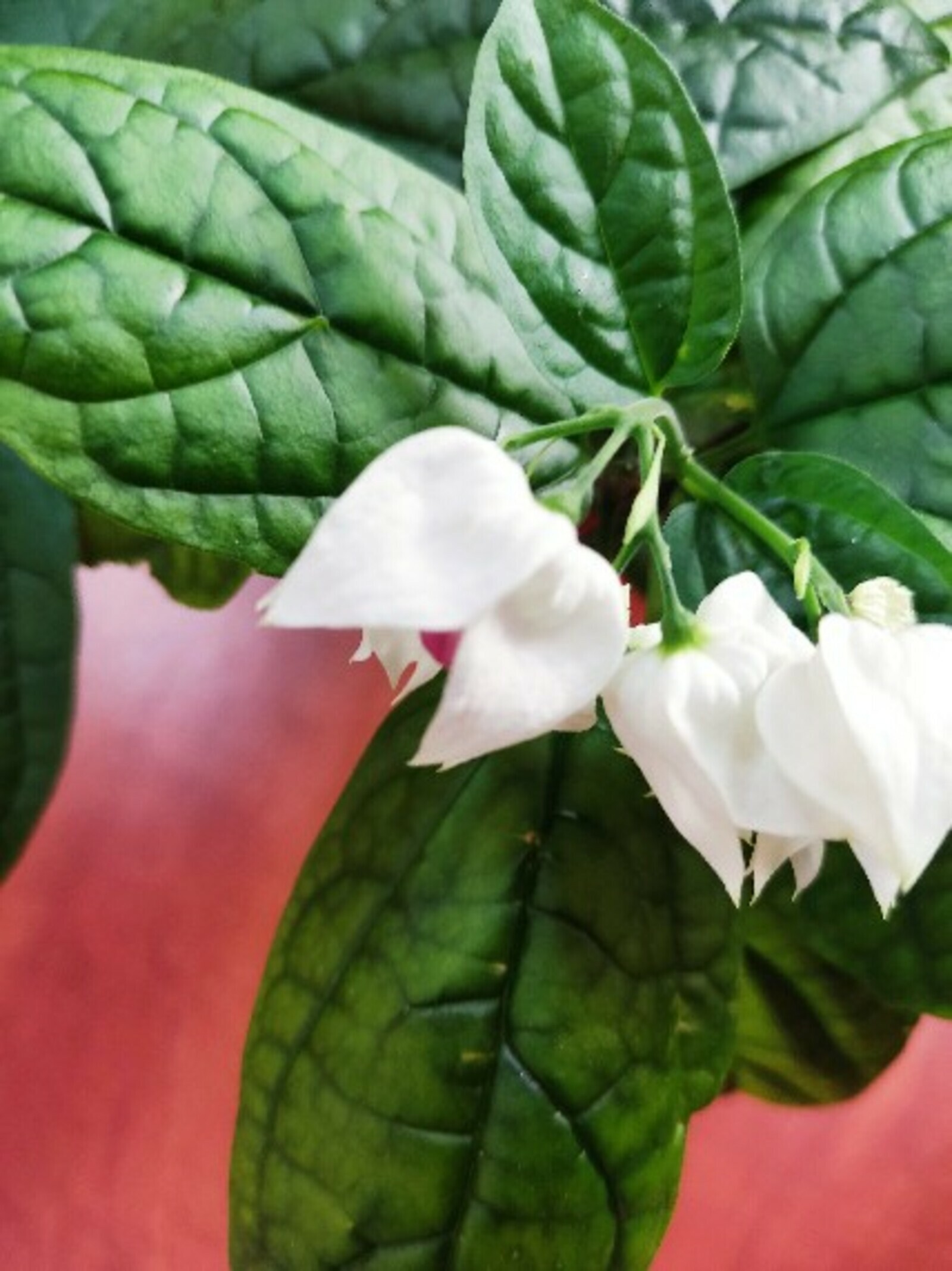 Почему в Башкортостане периодически отключают мобильный интернет?