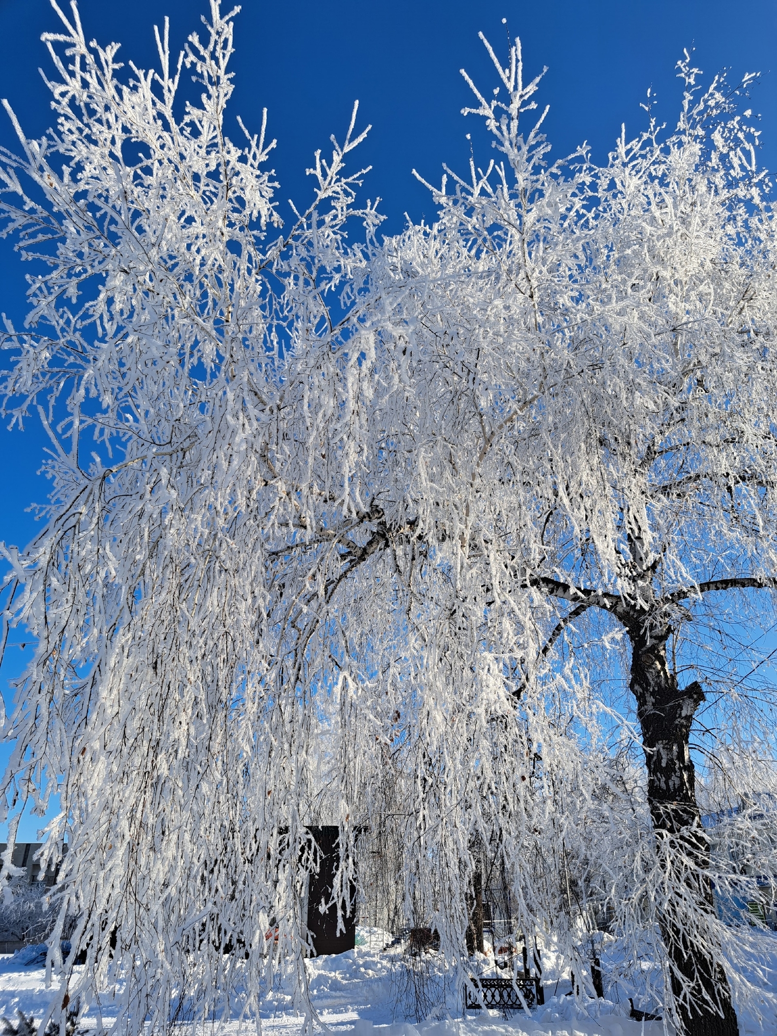 Хәйерле иртә, дуҫтар!