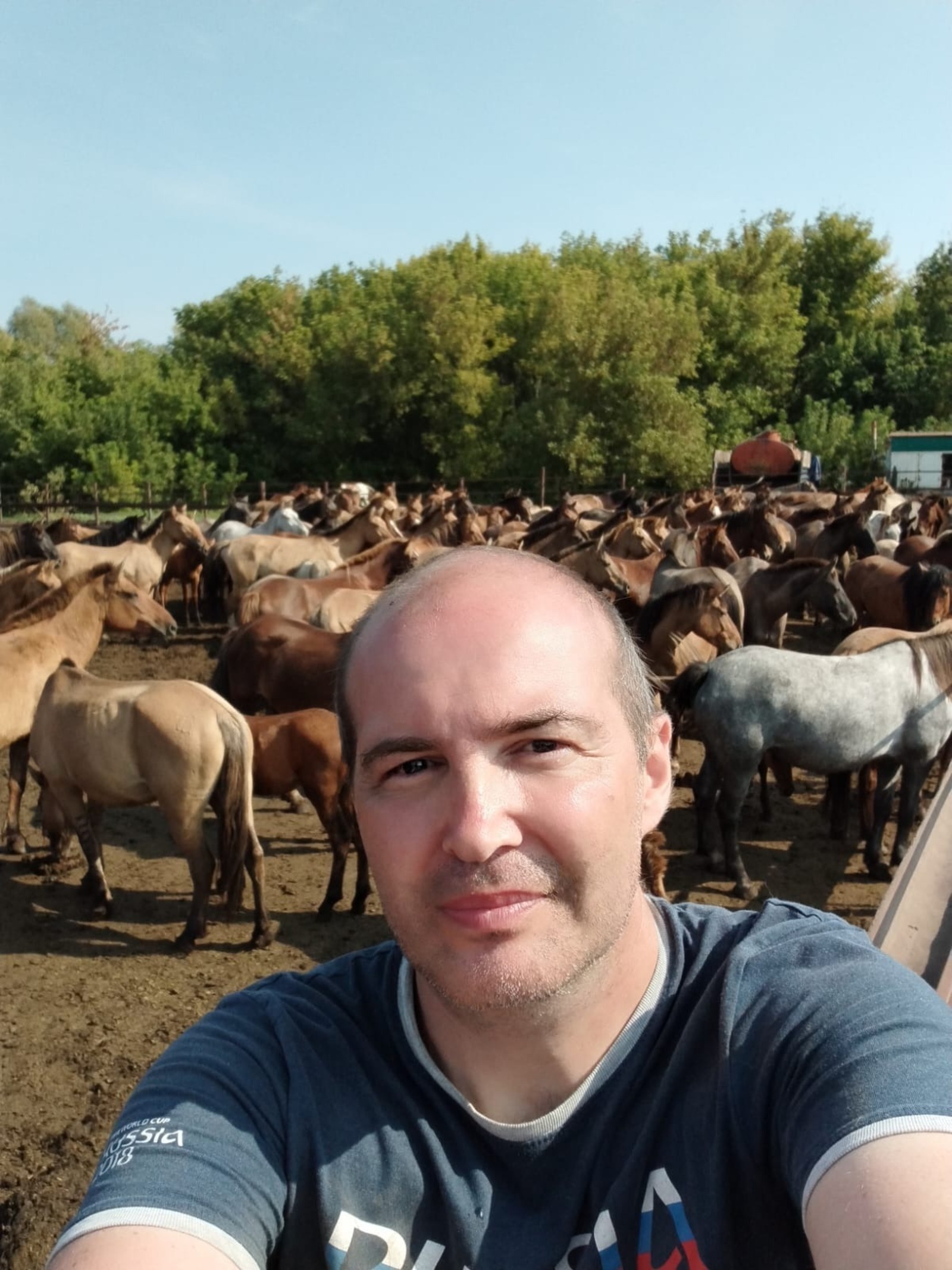 Как Башкирия сохраняет свою уникальную породу лошадей