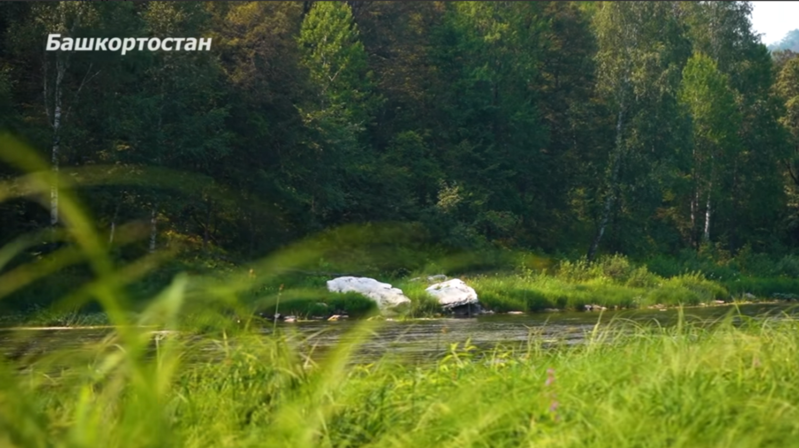 Радий Хәбиров, пост: Республика көнө менән ҡотлау