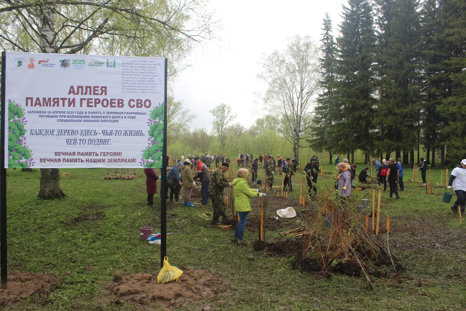 В Гафурийском районе заложили «Аллею памяти героев СВО