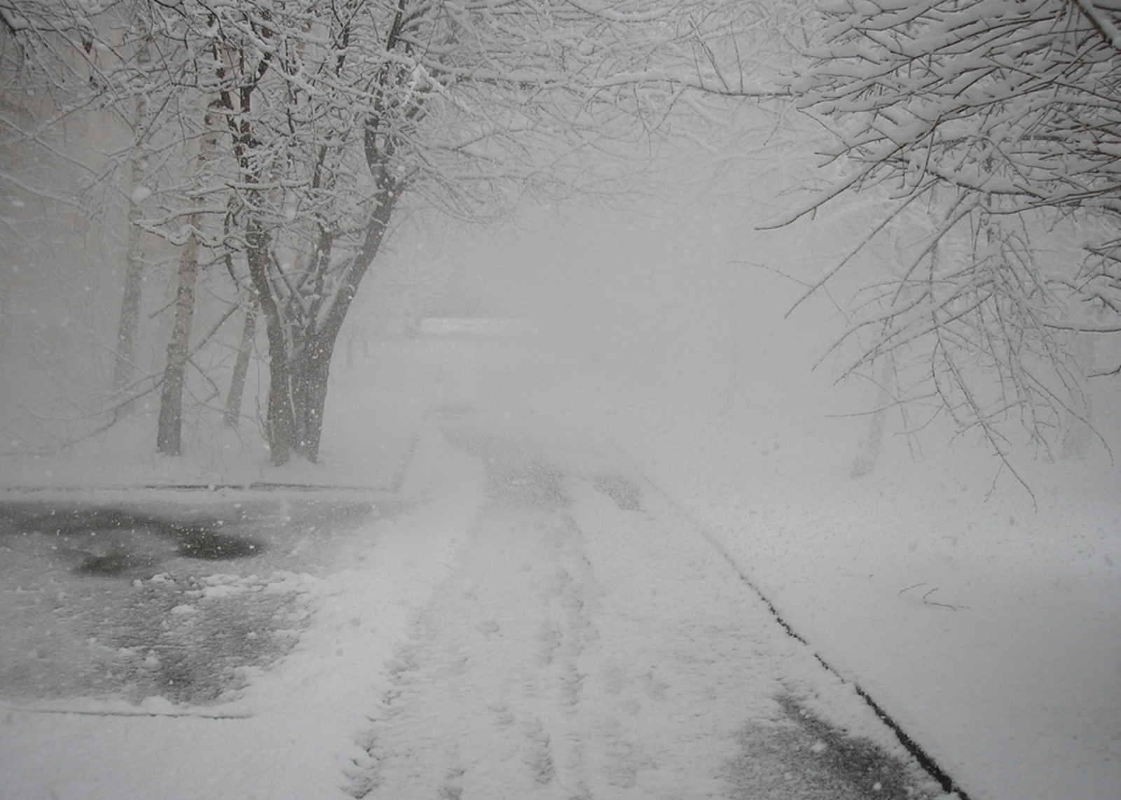 Бөркәнсек (хикәйә). Дауамы.